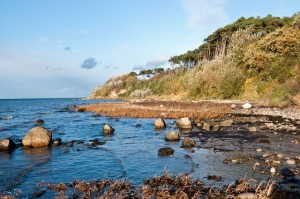 Bei Beckerwitz, die deutsche Ostsee bietet noch viele ruhige Meeresabschnitte, die sich auch mit Hund genießen lassen