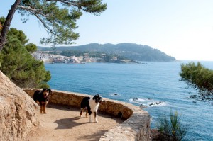 Urlaub an der Costa Brava mit Hund