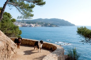 Urlaub mit Hund in Spanien