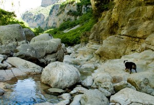 Vikos-Schlucht, Nordgriechenland