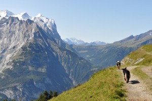 Berner Oberland