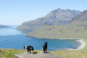 Urlaub mit Hund in Schottland
