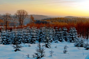 Mittelgebirge bieten Ruhe und Erholung.