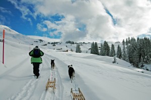 Oft sind Hunde in Gondeln erlaubt, so lassen sich auch mit Hund solche Ausblicke genießen.