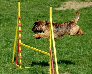 Sport und Spaziergänge müssen der Erkrankung angepasst werden.