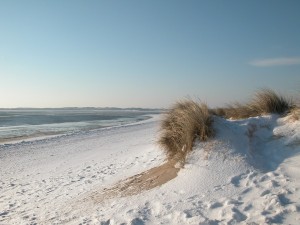 Sylt im Winter bietet viel Freiheit für den Hund.